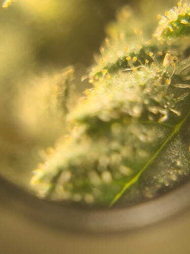 Growreport Bild 15