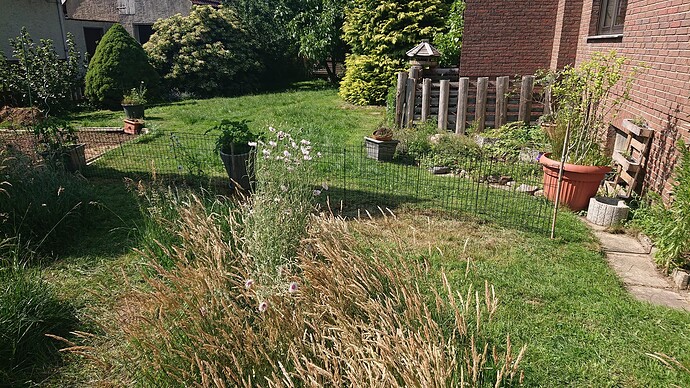 Growreport Bild 28