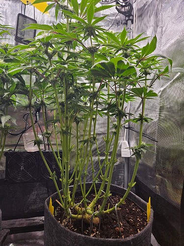 Growreport Bild 20