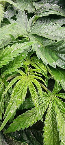 Growreport Bild 14