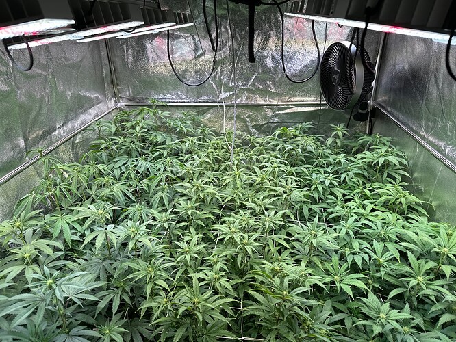 Growreport Bild 5