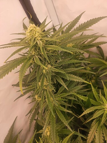 Growreport Bild 12