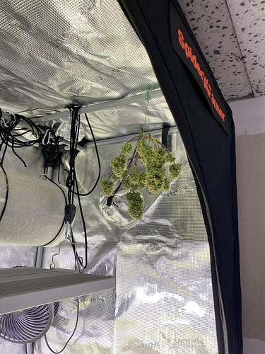 Growreport Bild 2