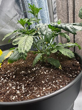 Growreport Bild 25