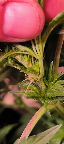 Growreport Bild 6