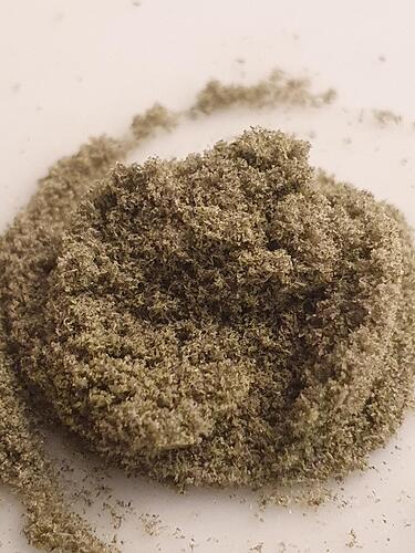 Growreport Bild 3