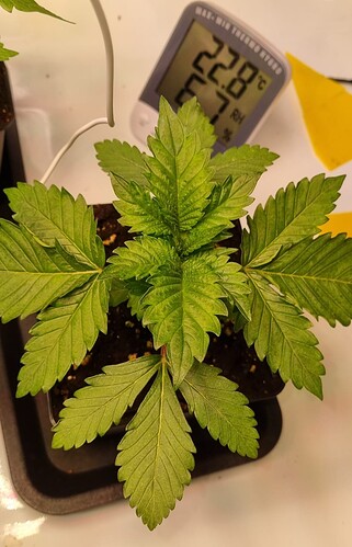 WhatsApp Image 2024-11-10 at 22.06.25 (3)