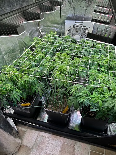 Growreport Bild 21