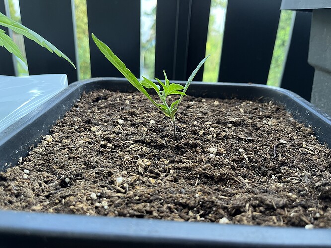 Growreport Bild 3