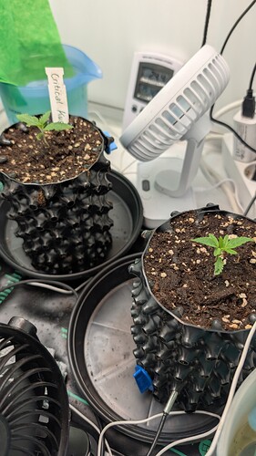 PXL_20250321_195605829.MP