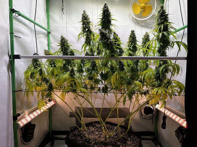 Growreport Bild 2