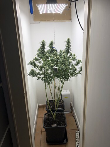 Growreport Bild 10