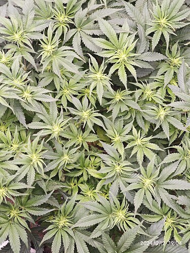 Growreport Bild 22