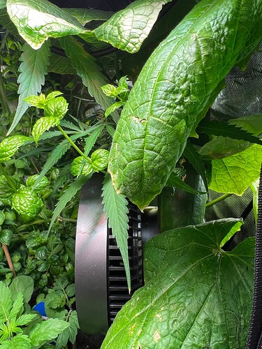 Growreport Bild 2