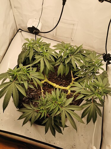 Growreport Bild 8