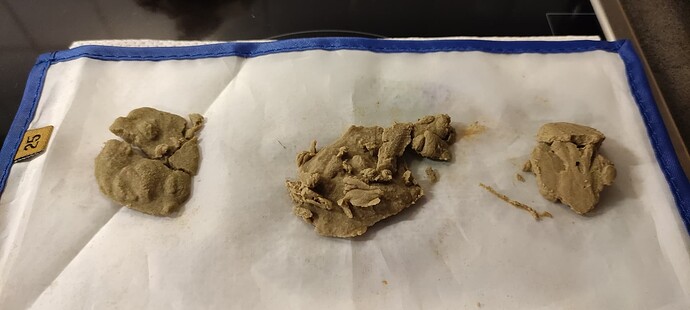Growreport Bild 3