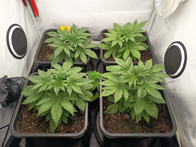 Growreport Bild 2