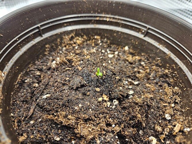 Growreport Bild 3
