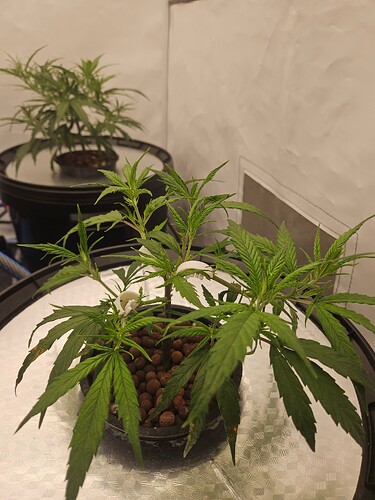 Growreport Bild 12