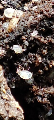 Screenshot_2024-06-09-20-04-51-972_com.miui.gallery