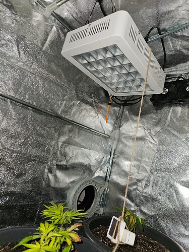 20241116_075012