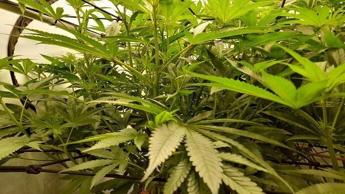 Growreport Bild 9