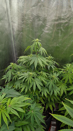 Growreport Bild 11