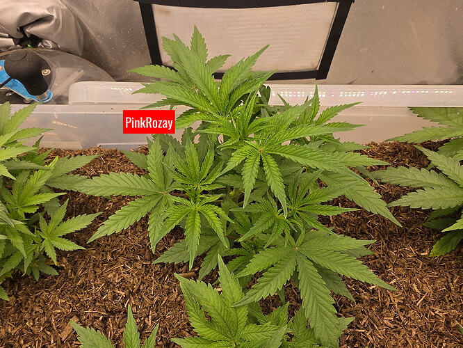 20260307_213416_edited_