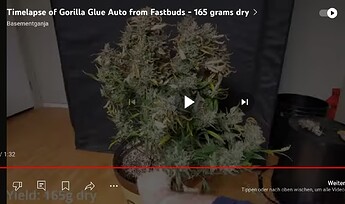 Growreport Bild 9