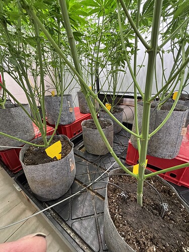 Growreport Bild 17