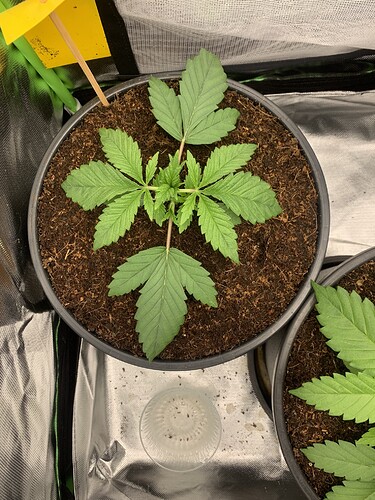 Growreport Bild 9