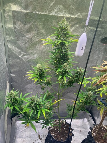 Growreport Bild 9