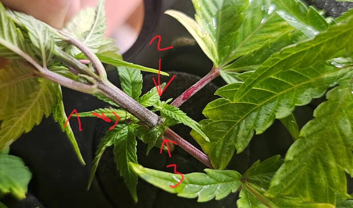 Growreport Bild 14