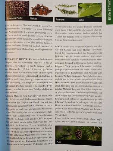 IMG_20240423_163644244_20240423_163806