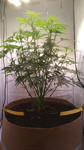 IMG_20251024_084533_057