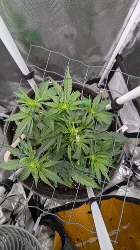 PXL_20250424_150039821