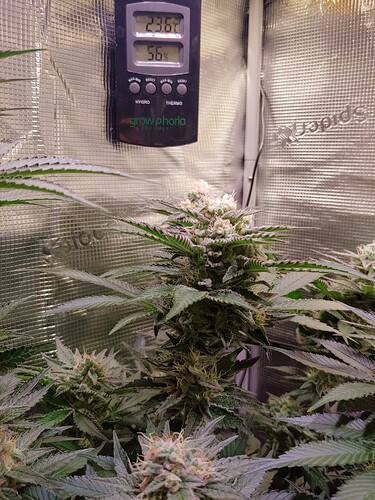 Growreport Bild 6