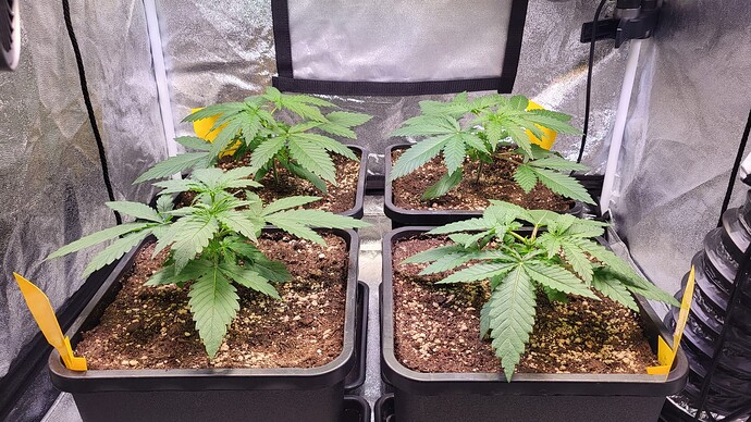 Growreport Bild 12