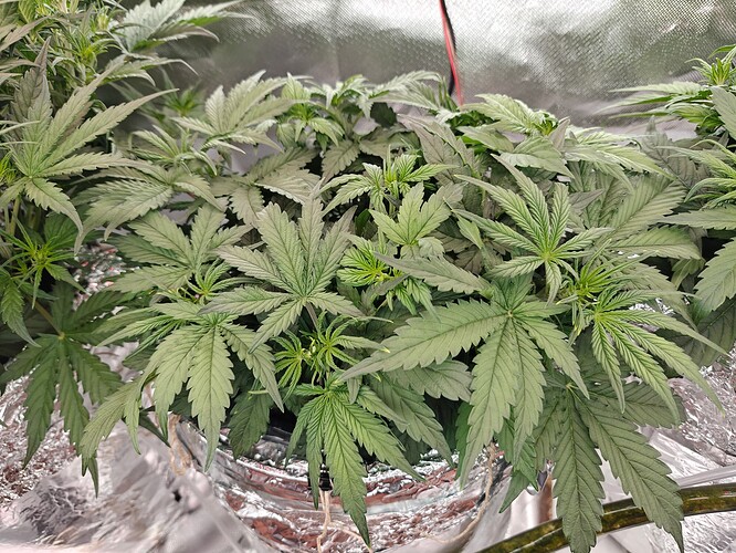 Growreport Bild 21