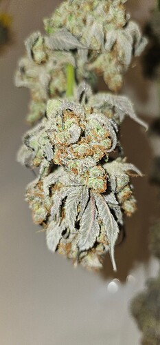 Growreport Bild 18