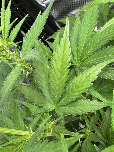 Growreport Bild 22