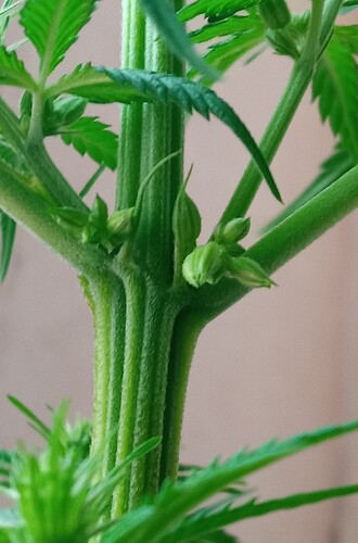 Growreport Bild 22