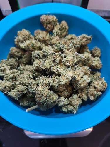 Growreport Bild 12