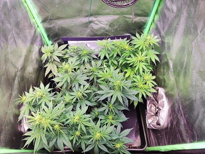 Growreport Bild 2