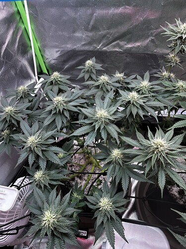 Growreport Bild 15