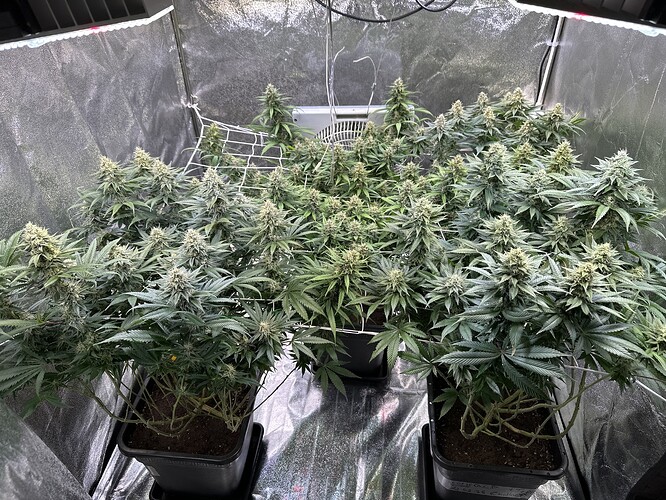 Growreport Bild 22