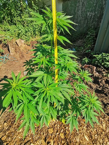 Growreport Bild 8