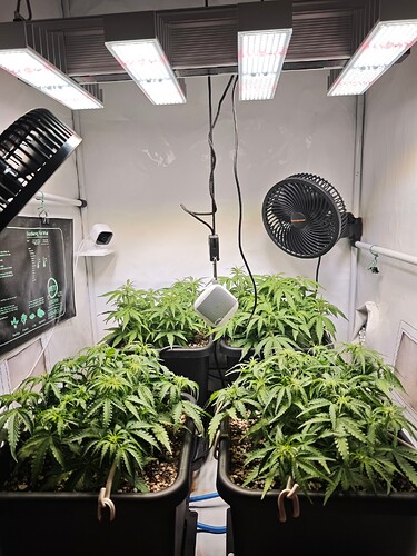 MVIMG_20251017_162006