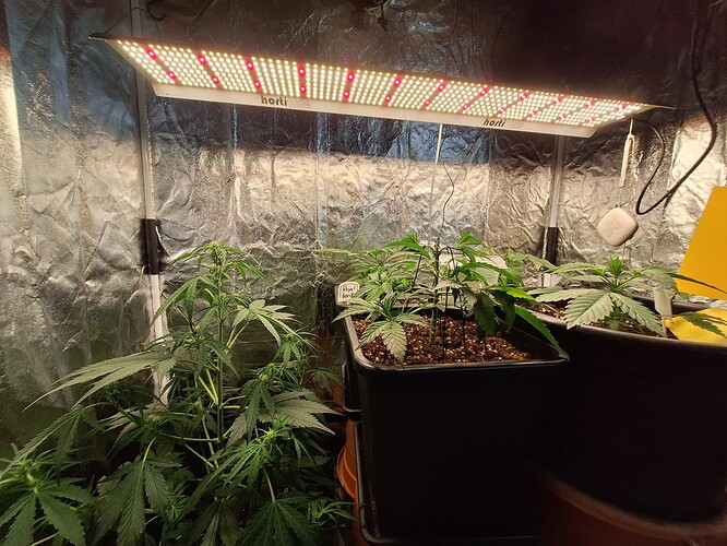 Growreport Bild 2