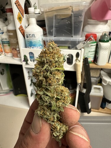 Growreport Bild 36
